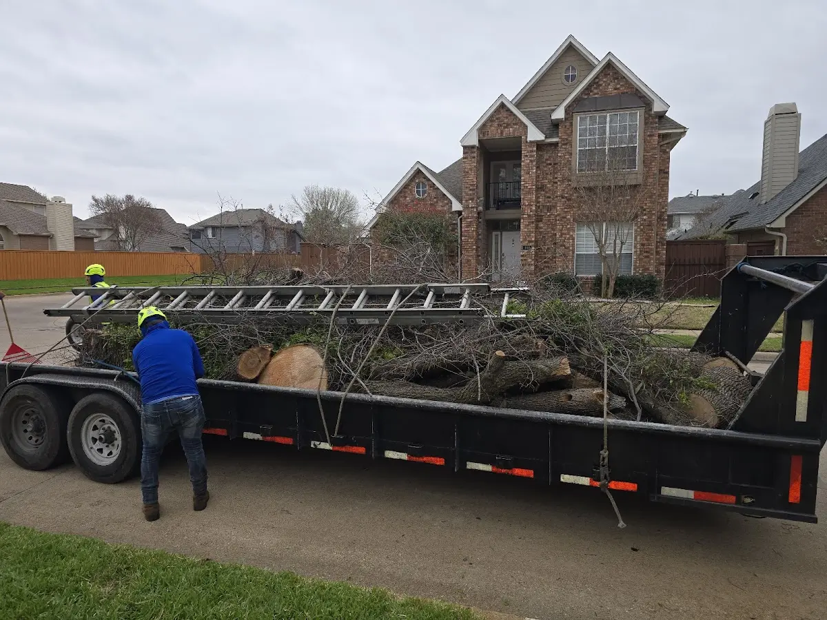 Expert Lot Clearing with proper safety equipment in Knoxville
